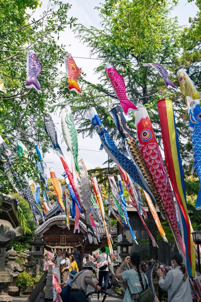 熊野神社　こいのぼり