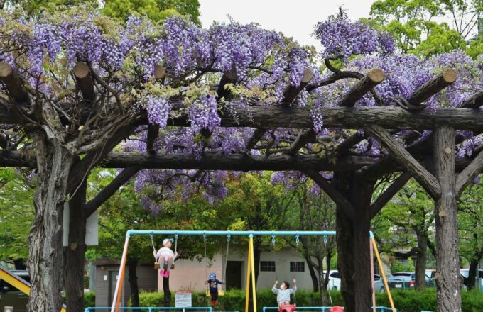 中ノ池公園