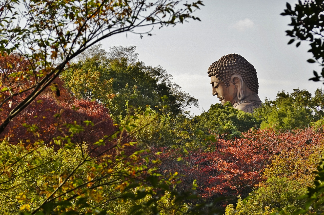 聚楽園公園（2025.11.14）