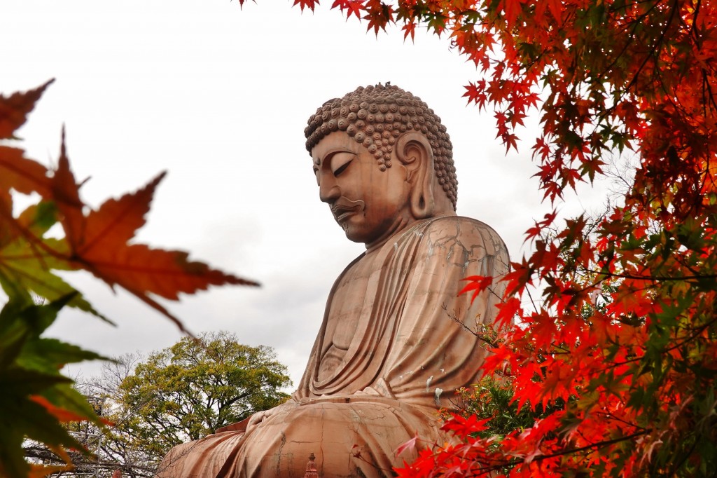 聚楽園公園 大仏 紅葉 20221201