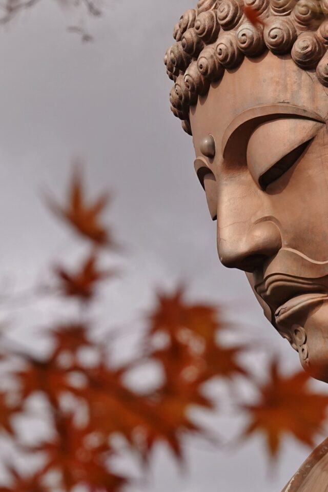 聚楽園公園大仏