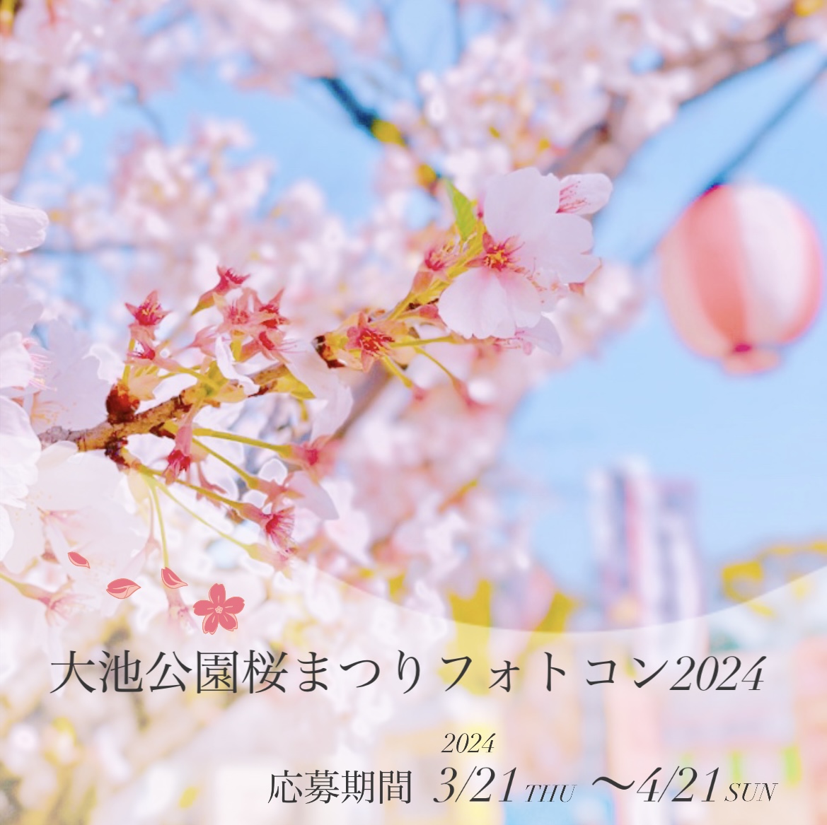 大池公園桜まつりフォトコン2024