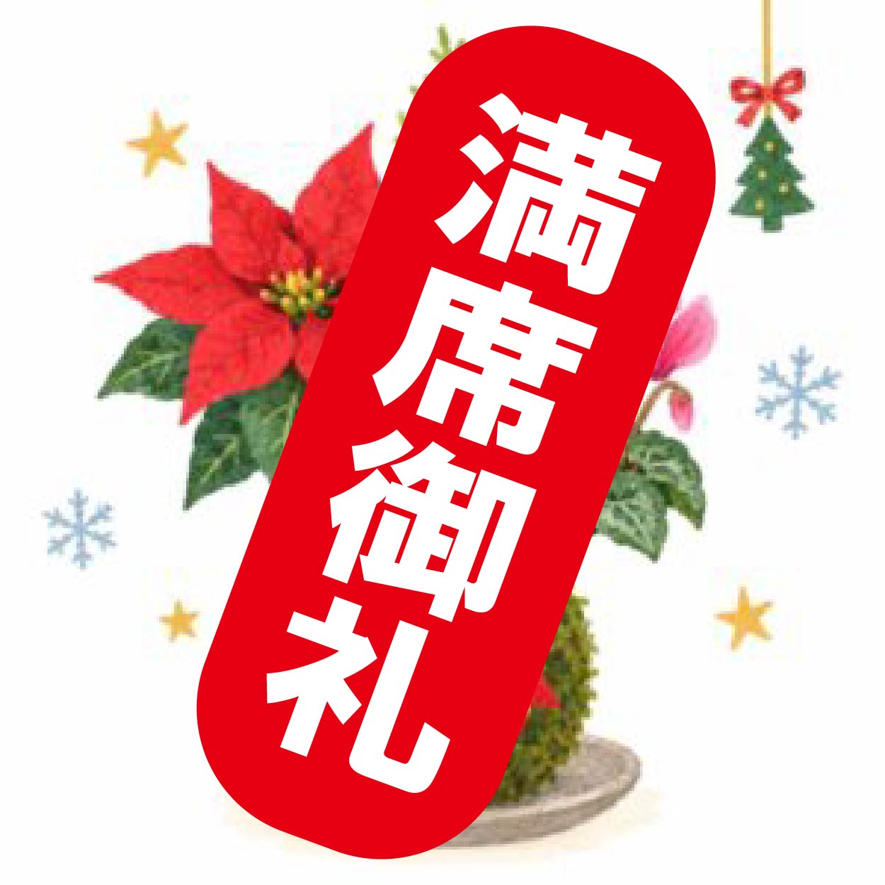 寄せ植え苔玉作り~クリスマスバーション~