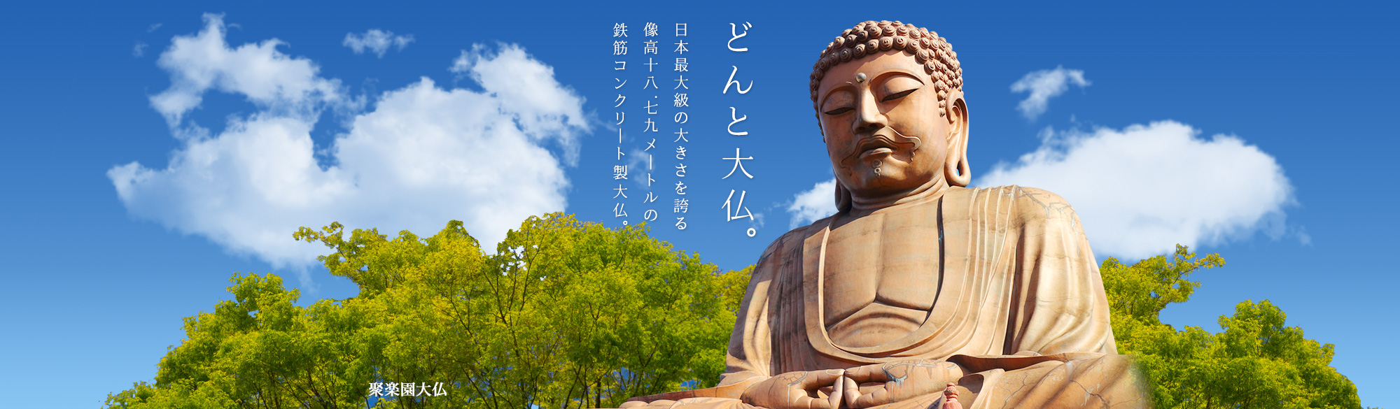 メインビジュアル 大仏