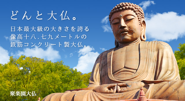 メインビジュアル 大仏
